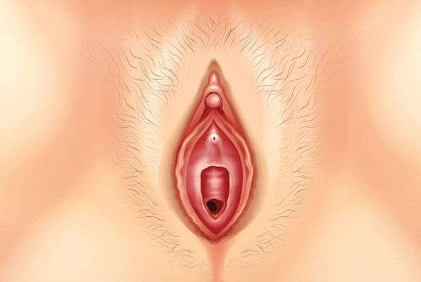 Klitoris empfindlich Viertel